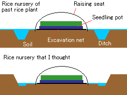Rice nursery (pool raising) and thought aboutnursery