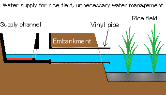 Water supply for rice field of unnecessary water management